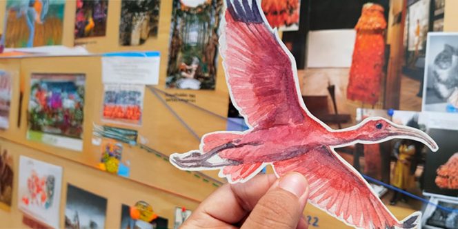  O retorno do Guará: pintura de aves com aquarela (foto divulgação)